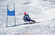 看球直播-世俱杯防守密度图解析，评估各队拦截与逼抢能力