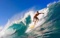 看球直播-利物浦唯一夺得世俱杯冠军年份概述与赛季亮点